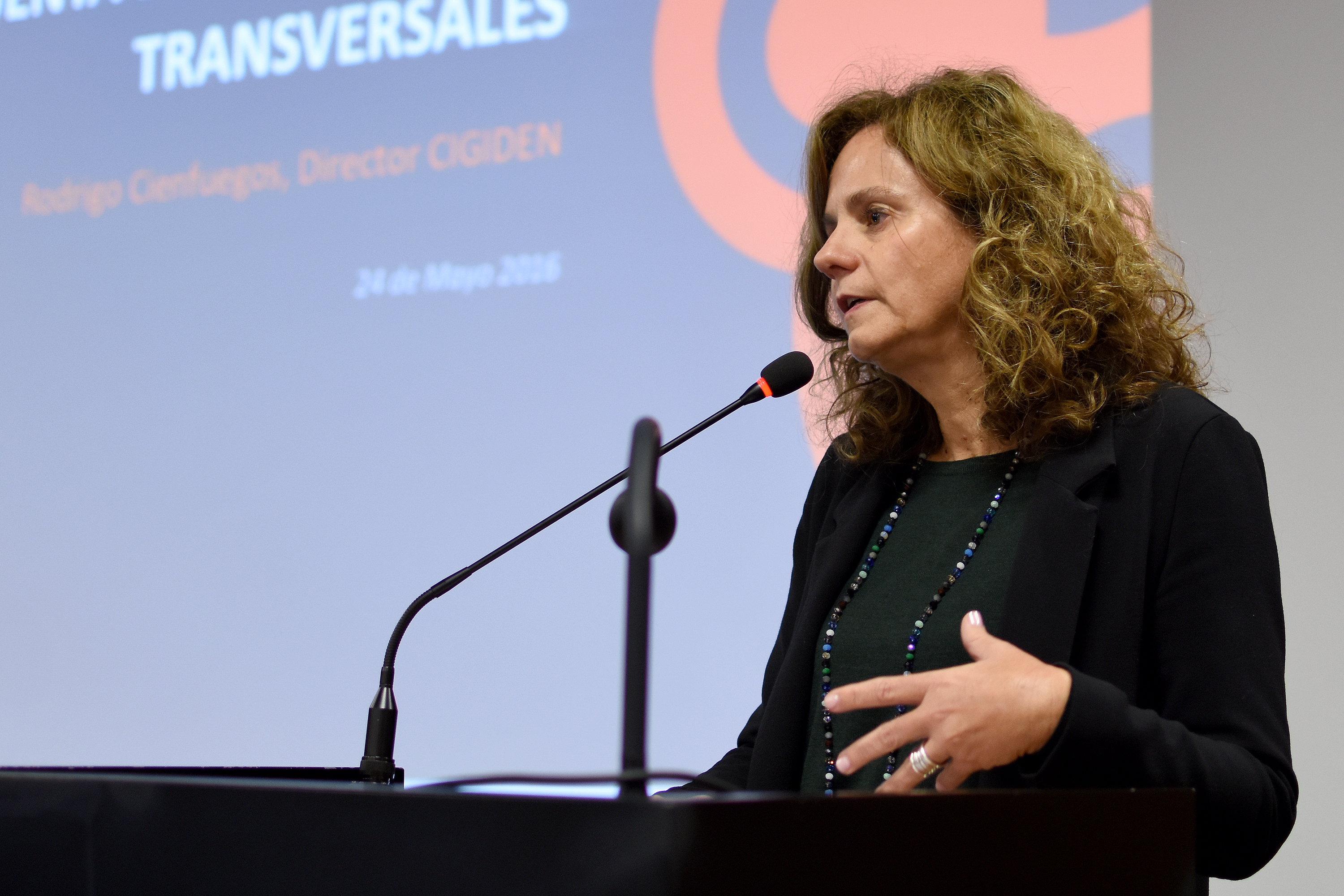 Integrantes de CIGIDEN se reunieron en la cuarta reunión ampliada del Centro