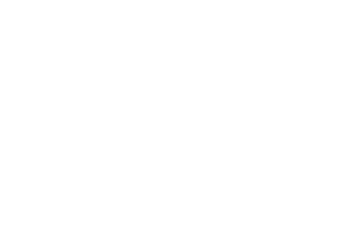 L6. Gobernanza ciudadana