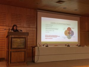 Investigadores de CIGIDEN participaron en seminarios sobre Planificación Urbana Costera en Santiago y Valparaíso