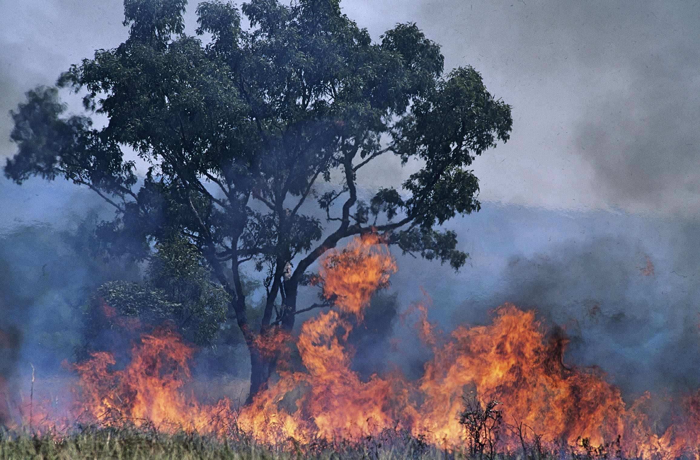 La importancia de la toma de decisiones frente a las emergencias causadas por desastres naturales