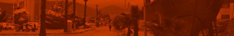 L5. Socio-Economic Assessment of disasters and Mitigation Strategies for Resilient Critical Infrastructure Systems