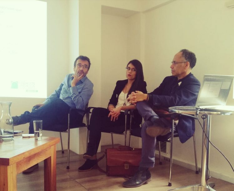 Workshop reúne ciencia, ONG´s, Estado y voluntariado para repensar la gestión del riesgo de desastres en Chile