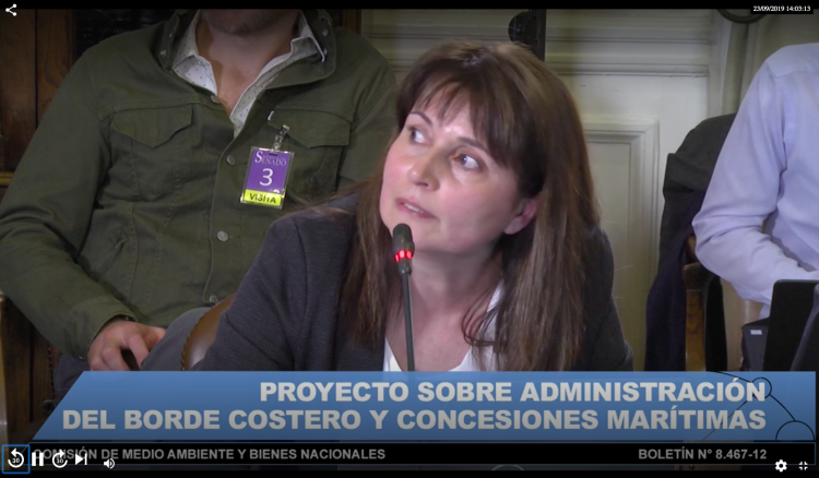 Representantes de Costa Chile y Observatorio de la Costa serán parte de mesa técnica para discutir “Ley de Borde Costero” en el Senado