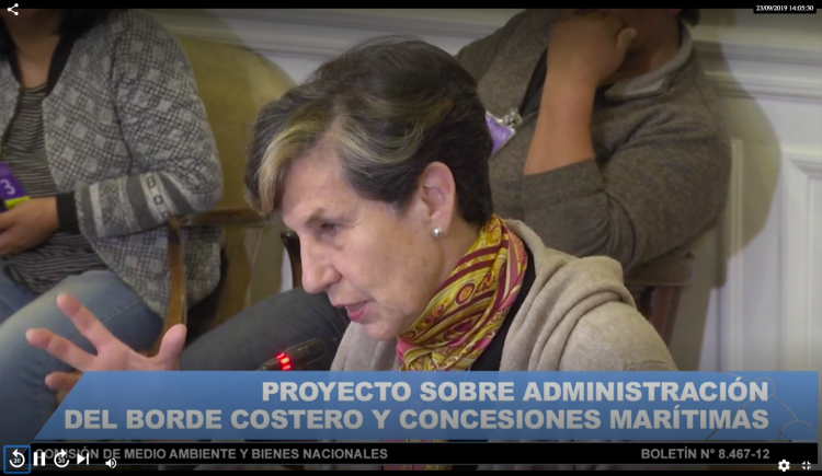 Representantes de Costa Chile y Observatorio de la Costa serán parte de mesa técnica para discutir “Ley de Borde Costero” en el Senado