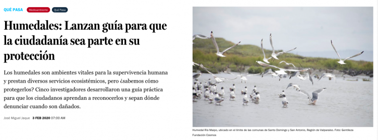 Codex Verde: Científicos apuestan por nueva ley para proteger ecosistemas costeros y disminuir el riesgo de desastre en esas zonas
