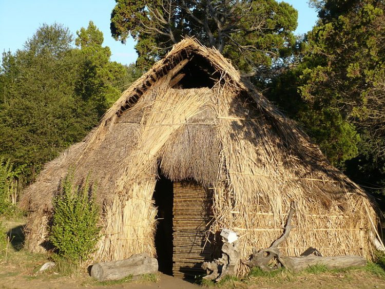 Lanzan plataforma digital que documentará los efectos de la pandemia en el territorio mapuche
