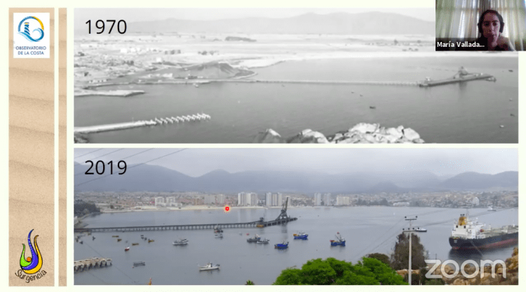 Expertos alertan sobre avanzada degradación en los ecosistemas costeros de la Región de Coquimbo