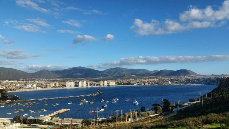 Expertos alertan sobre avanzada degradación en los ecosistemas costeros de la Región de Coquimbo
