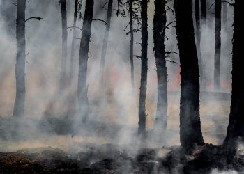 Siete medidas para hacer frente a las amenazas naturales asociadas al fenómeno de “La Niña”