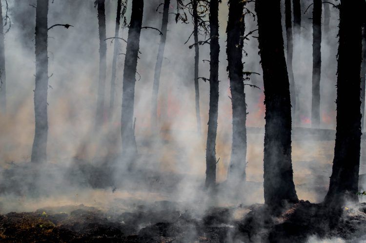 Siete medidas para hacer frente a las amenazas naturales asociadas al fenómeno de “La Niña”