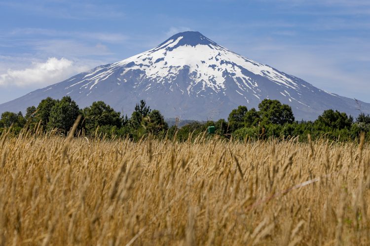Investigadores latinoamericanos se capacitan en uso de plataforma de monitoreo satelital de volcanes creada por científicos chilenos
