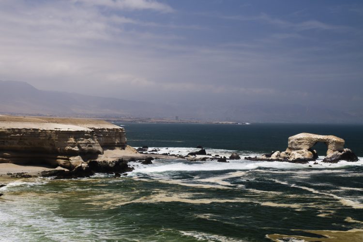 ¡Chile territorio en movimiento! participa en Festival de Ciencias de Puerto de Ideas en Antofagasta