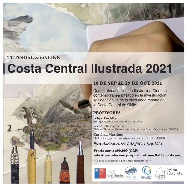 Doctora Carolina Martínez participará como docente en el curso tutorial online de Ilustración Científica Marina de Chile Central