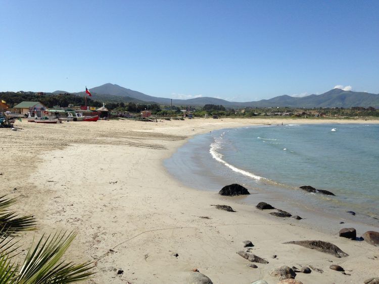 Estudio reafirma que en Chile existen bahías más sensibles a daños por los efectos de un tsunami