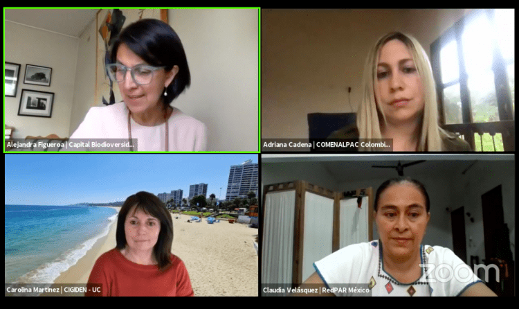 Experta advierte que los procesos rápidos de transformación de la costa chilena aumentan el riesgo de desastre