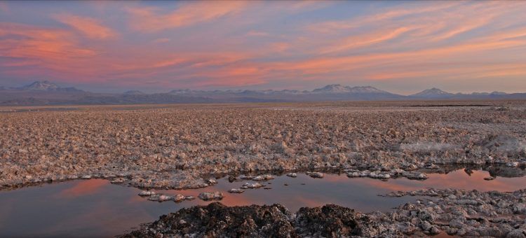 Científicos denuncian daño irreparable en los salares del norte de Chile