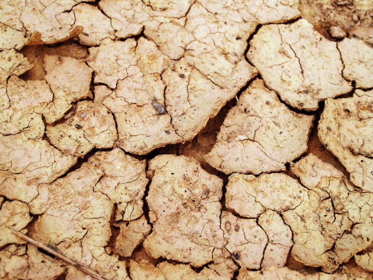 ¿Cómo impulsar acciones climáticas sustentables  en el contexto del cambio climático? 