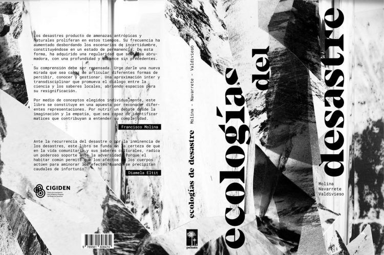 Libro aborda los distintas maneras de pensar los desastres a través de un ejercicio que incluye distintas disciplinas