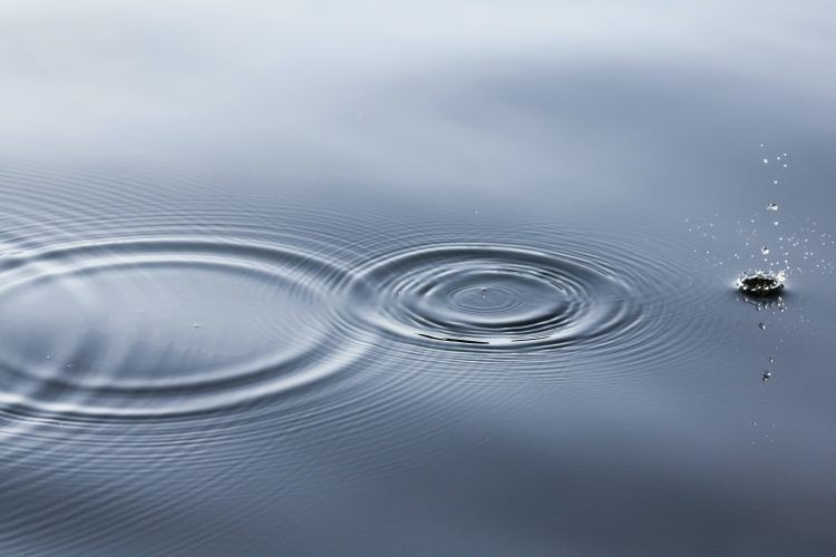 Aguas revueltas: ciclo de conversatorios sobre los riesgos asociados al uso y disponibilidad del agua en tiempos de crisis climática