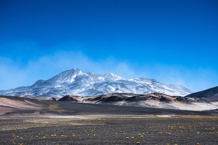 ¿Qué estrategias indígenas se usan para enfrentar la sequía en el desierto más árido del mundo?