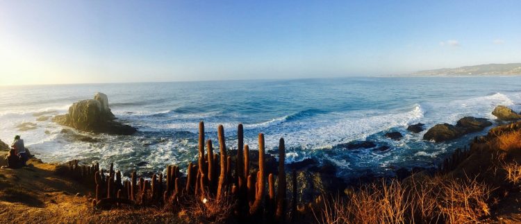 SIMONA Costa: el nuevo desafío científico para el diagnóstico de playas y humedales en Chile