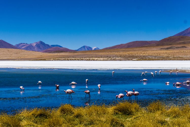 Seminario: Riesgos, conocimientos locales e interdisciplinas en los Andes. Perspectivas internacionales.