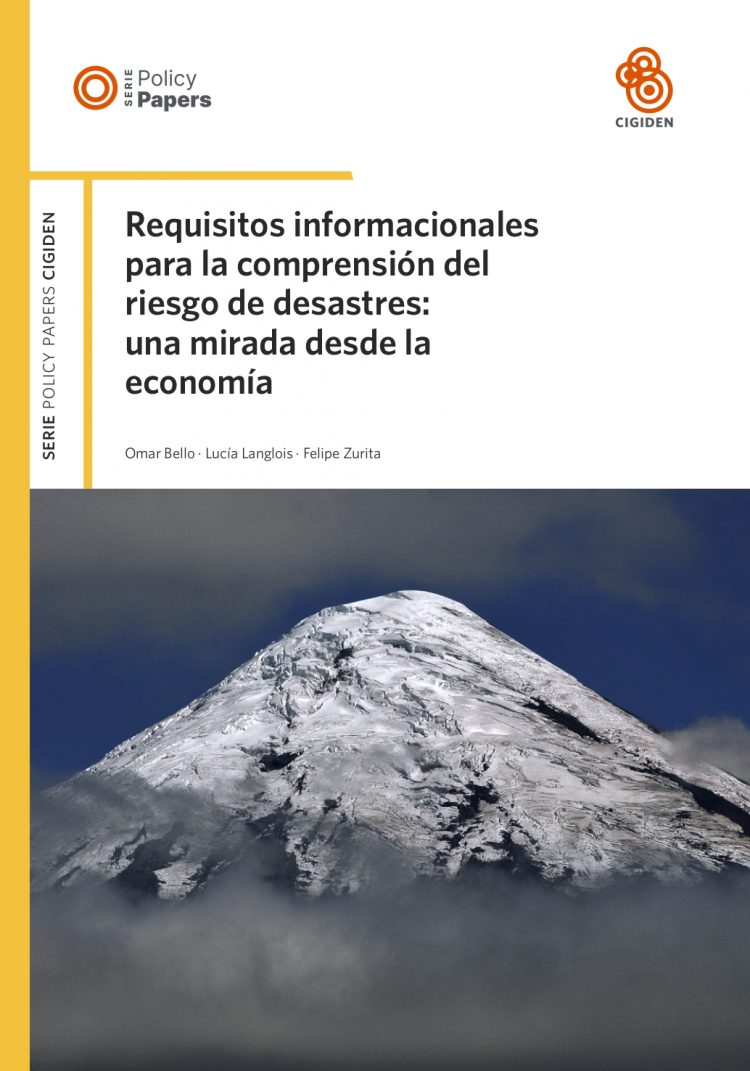 Requisitos informacionales para la comprensión del riesgo de desastres: una mirada desde la economía