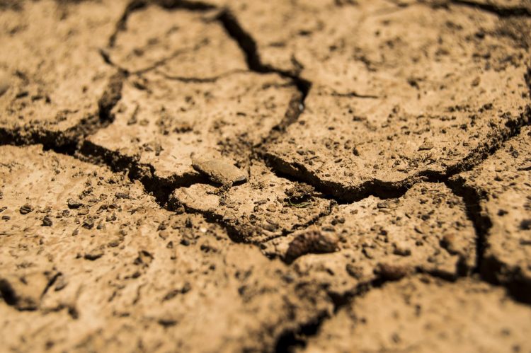 Meteoróloga de CIGIDEN participó en taller sobre cambio climático y salud