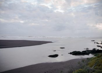 Cierre de desembocaduras de ríos: el colapso de los ecosistemas costeros en Chile