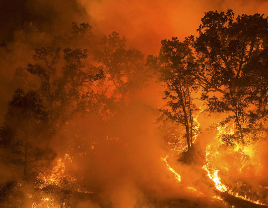 Seminario Internacional “Incendios urbano-rurales: De la preparación a la recuperación sostenible”
