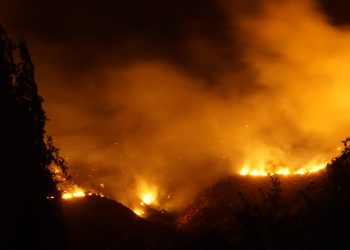 Seminario abordará estrategias para gestionar el riesgo de incendio forestal en la zona rural-urbana