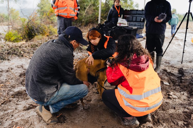 Presentan informe con recomendaciones y aprendizajes tras las inundaciones en la región del Maule
