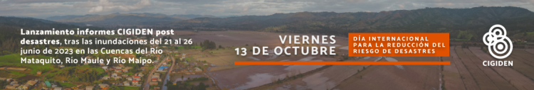 Descarga Informes