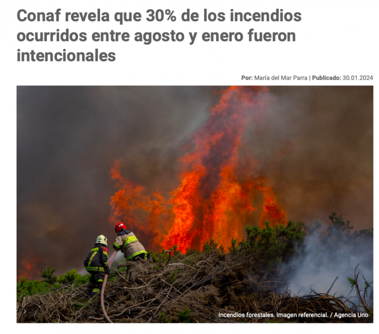 El Desconcierto | Conaf revela que 30% de los incendios ocurridos entre agosto y enero fueron intencionales