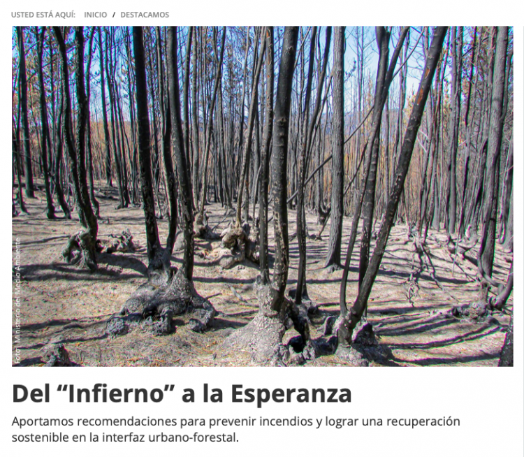 Induambiente | Del «Infierno» a la Esperanza