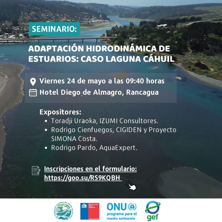 Seminario «Adaptación hidrodinámica de estuarios: caso laguna Cáhuil»