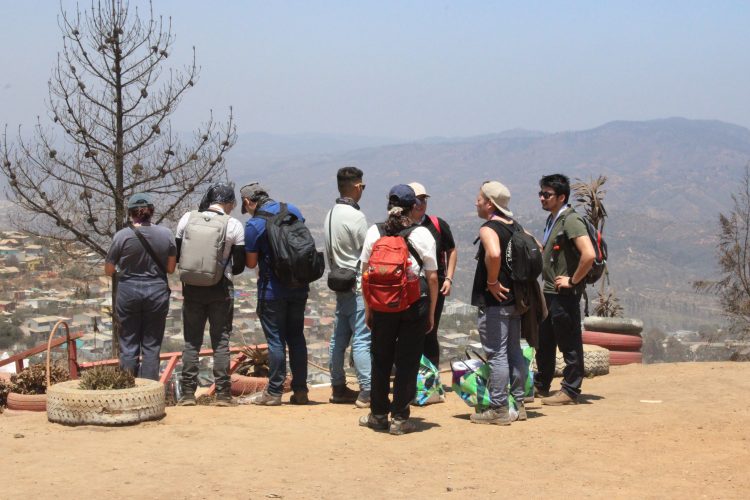 Viña del Mar: Laderas intervenidas en zona de incendios aumentan riesgo de derrumbes