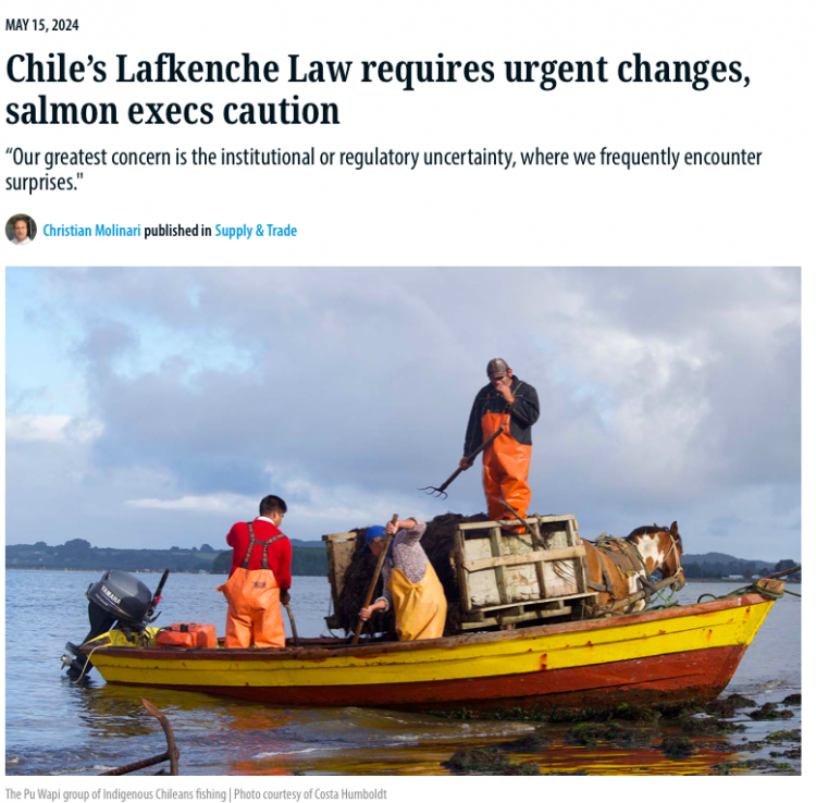 Seafood Source | Chile’s Lafkenche Law requires urgent changes, salmon execs caution
