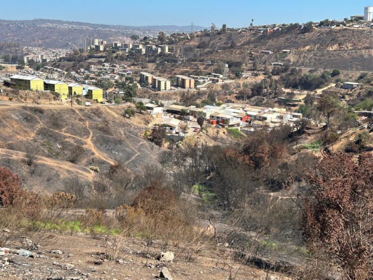 Incendios de febrero aumentan peligro de derrumbes en cerros de Viña del Mar