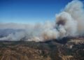 Investigaciones sobre incendios revelan la importancia de las redes comunitarias para reducir el riesgo y mejorar la respuesta institucional