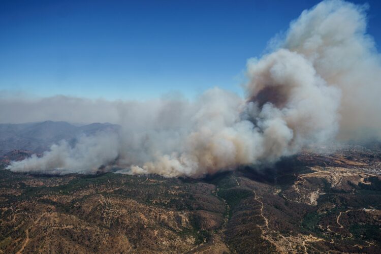 Investigaciones sobre incendios revelan la importancia de las redes comunitarias para reducir el riesgo y mejorar la respuesta institucional