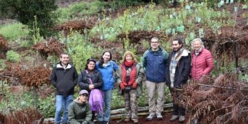 La importancia de la restauración del paisaje post-incendios a través del trabajo comunitario