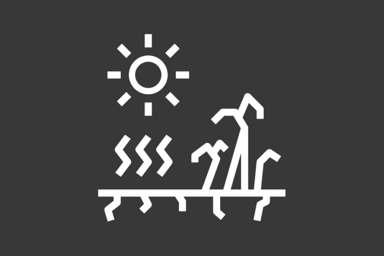 WP5: Climate-Induced Risks in Territories and the Built Environment