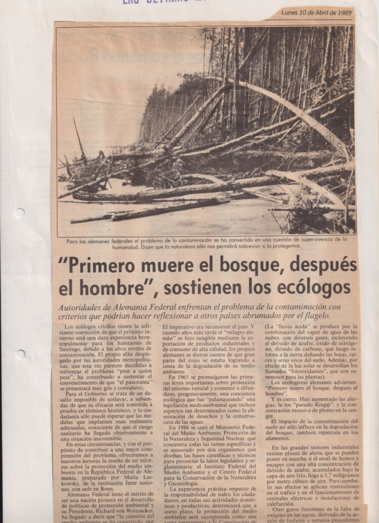 Después del incendio: reflexiones artísticas sobre los incendios en Chile se exhiben en la galería de arte de SENAPRED