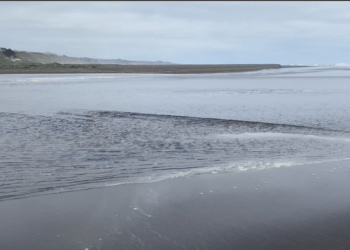 Investigadores de CIGIDEN observan en Laguna Cáhuil por primera vez un “Gas de Solitones” en la naturaleza