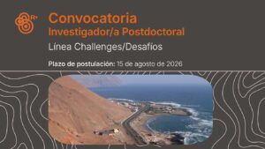 <strong>Convocatoria Investigador/a Postdoctoral. Línea Challenges/Desafíos</strong>
